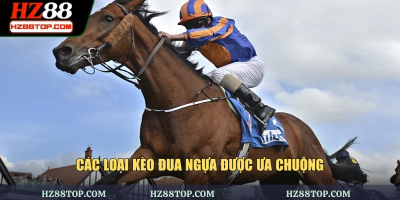 Các loại kèo đua ngựa được ưa chuộng